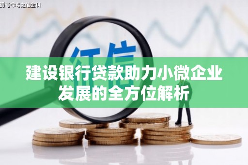 利辛建设银行贷款助力小微企业发展的全方位解析