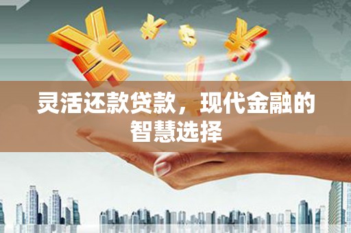 利辛灵活还款贷款，现代金融的智慧选择