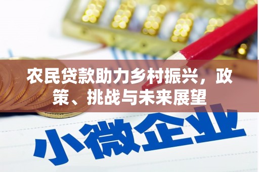 利辛农民贷款助力乡村振兴，政策、挑战与未来展望