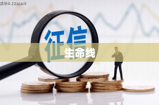 利辛生命线