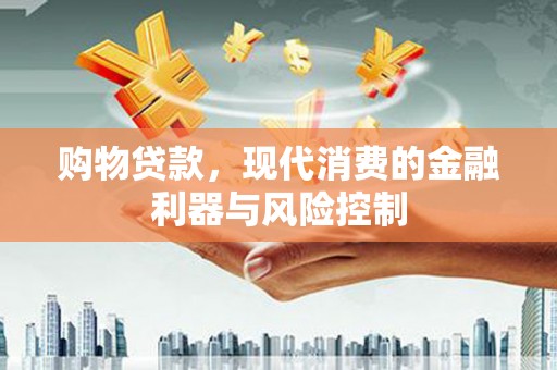 利辛购物贷款，现代消费的金融利器与风险控制