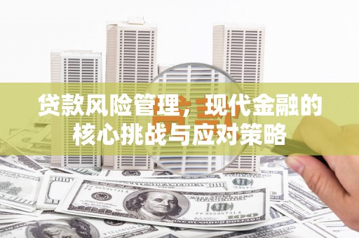 利辛贷款风险管理，现代金融的核心挑战与应对策略