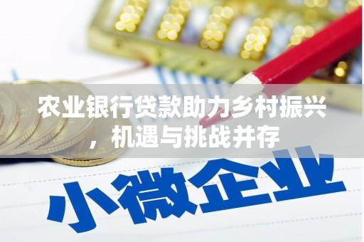 利辛农业银行贷款助力乡村振兴，机遇与挑战并存