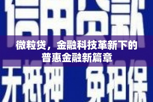 利辛微粒贷，金融科技革新下的普惠金融新篇章