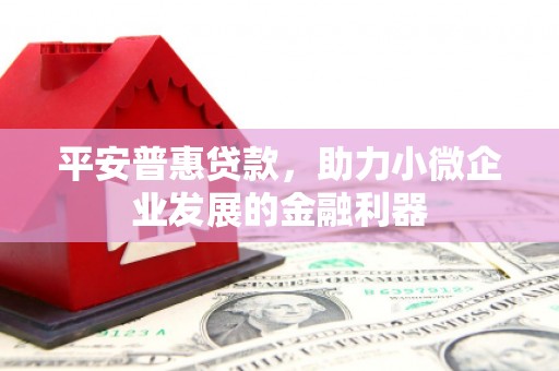 利辛平安普惠贷款，助力小微企业发展的金融利器