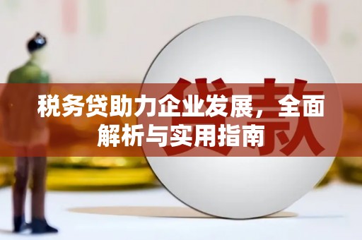 利辛税务贷助力企业发展，全面解析与实用指南