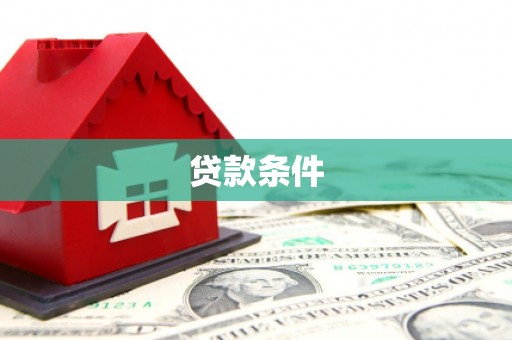 利辛贷款条件
