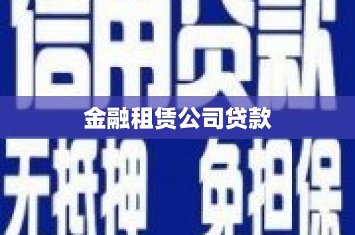 利辛金融租赁公司贷款
