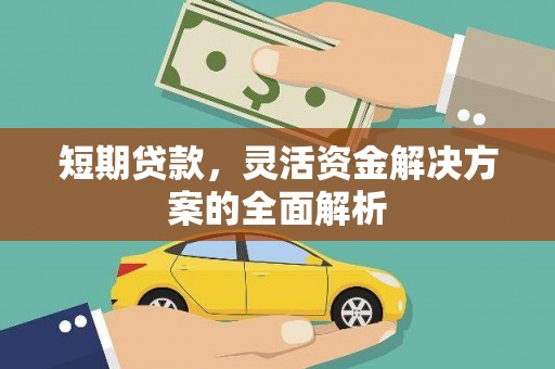 利辛短期贷款，灵活资金解决方案的全面解析
