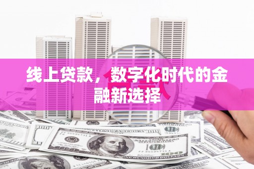 利辛线上贷款，数字化时代的金融新选择