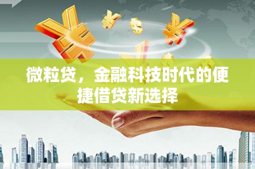 利辛微粒贷，金融科技时代的便捷借贷新选择