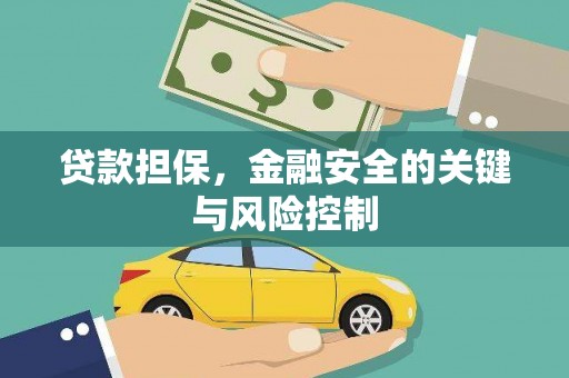 利辛贷款担保，金融安全的关键与风险控制