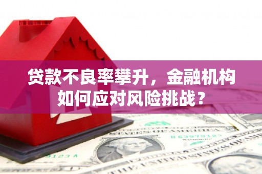 利辛贷款不良率攀升，金融机构如何应对风险挑战？