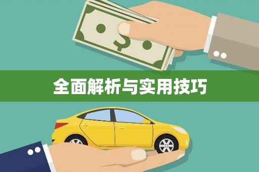利辛全面解析与实用技巧