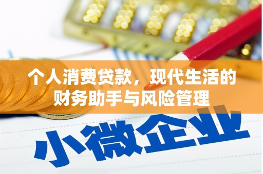 利辛个人消费贷款，现代生活的财务助手与风险管理