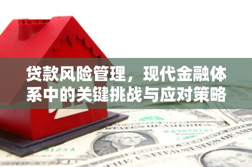 利辛贷款风险管理，现代金融体系中的关键挑战与应对策略