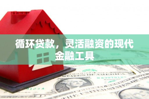 利辛循环贷款，灵活融资的现代金融工具