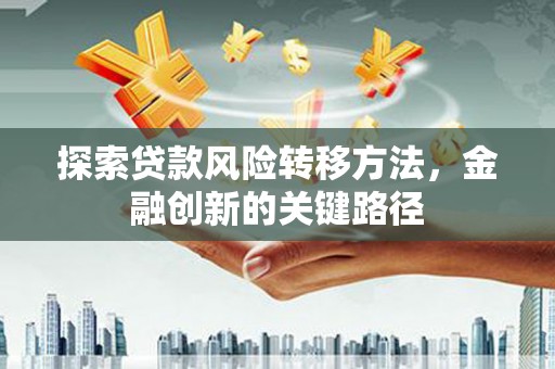 利辛探索贷款风险转移方法，金融创新的关键路径