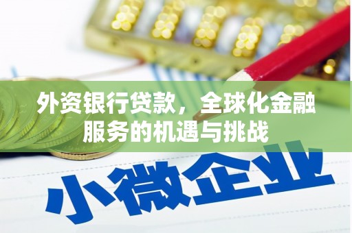 利辛外资银行贷款，全球化金融服务的机遇与挑战