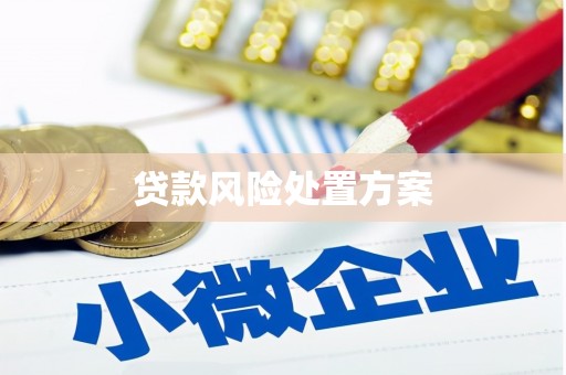 利辛贷款风险处置方案