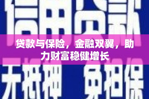 利辛贷款与保险，金融双翼，助力财富稳健增长