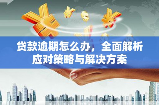 利辛贷款逾期怎么办，全面解析应对策略与解决方案
