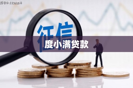 利辛度小满贷款