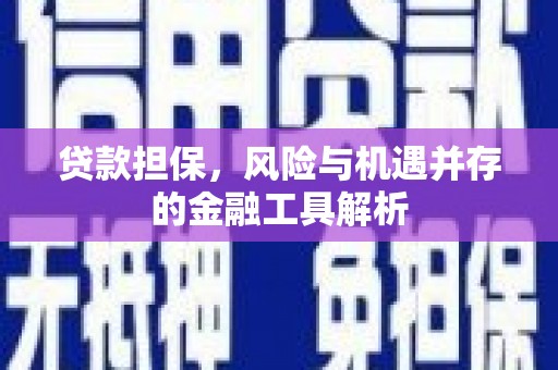 利辛贷款担保，风险与机遇并存的金融工具解析