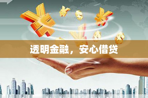 利辛透明金融，安心借贷