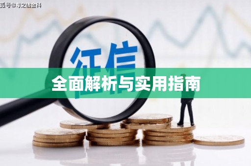 利辛全面解析与实用指南