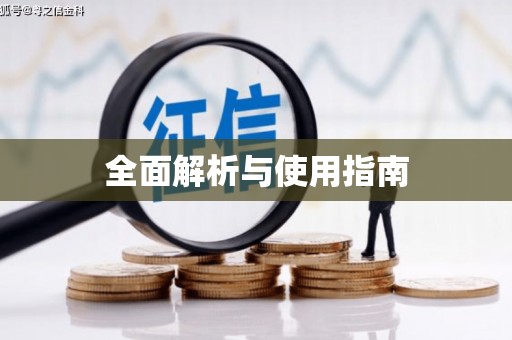 利辛全面解析与使用指南