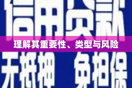 利辛理解其重要性、类型与风险