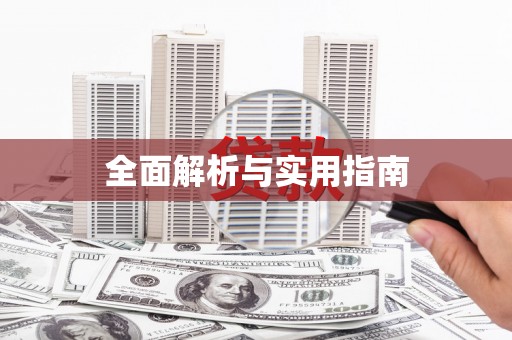 利辛全面解析与实用指南