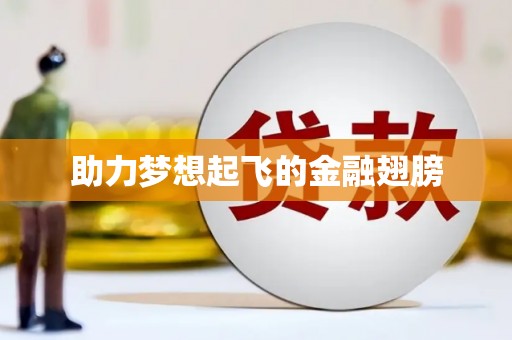 利辛助力梦想起飞的金融翅膀