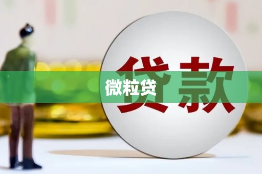 利辛微粒贷