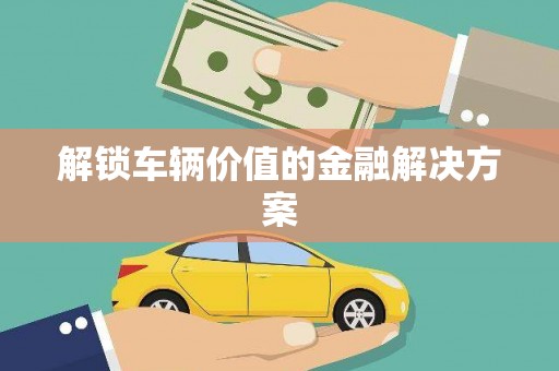 利辛解锁车辆价值的金融解决方案