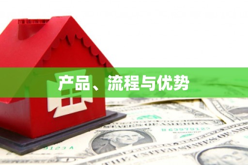 利辛产品、流程与优势