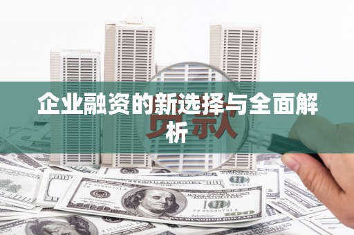 利辛企业融资的新选择与全面解析