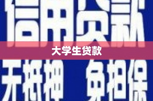 利辛大学生贷款