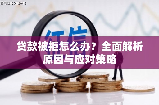 利辛贷款被拒怎么办？全面解析原因与应对策略