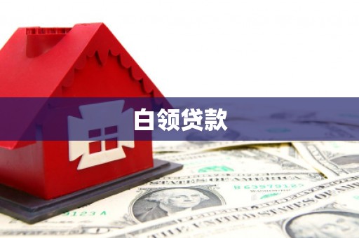 利辛白领贷款