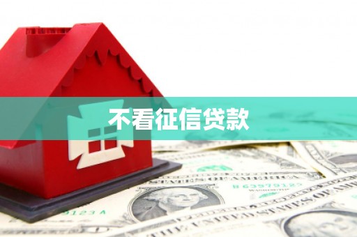 利辛不看征信贷款