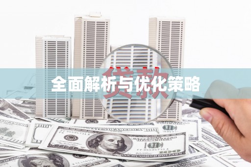 利辛全面解析与优化策略
