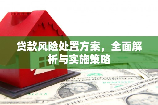 利辛贷款风险处置方案，全面解析与实施策略