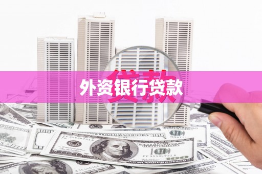 利辛外资银行贷款