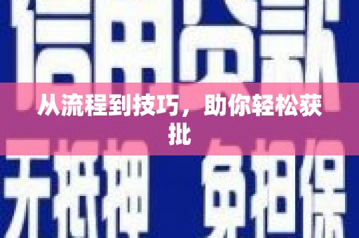 利辛从流程到技巧，助你轻松获批