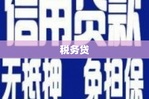 利辛税务贷