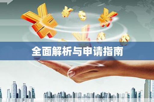 利辛全面解析与申请指南