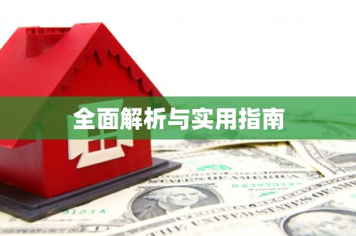 利辛全面解析与实用指南