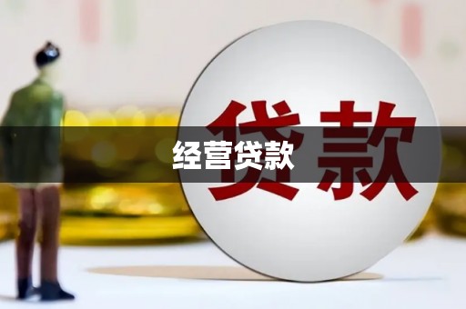 利辛经营贷款